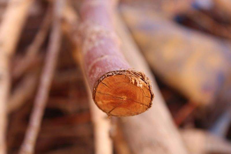 木工初心者工房 - Image 12