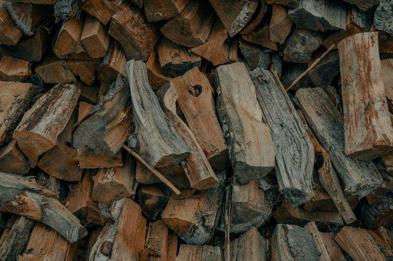 木工初心者工房 - Image 13