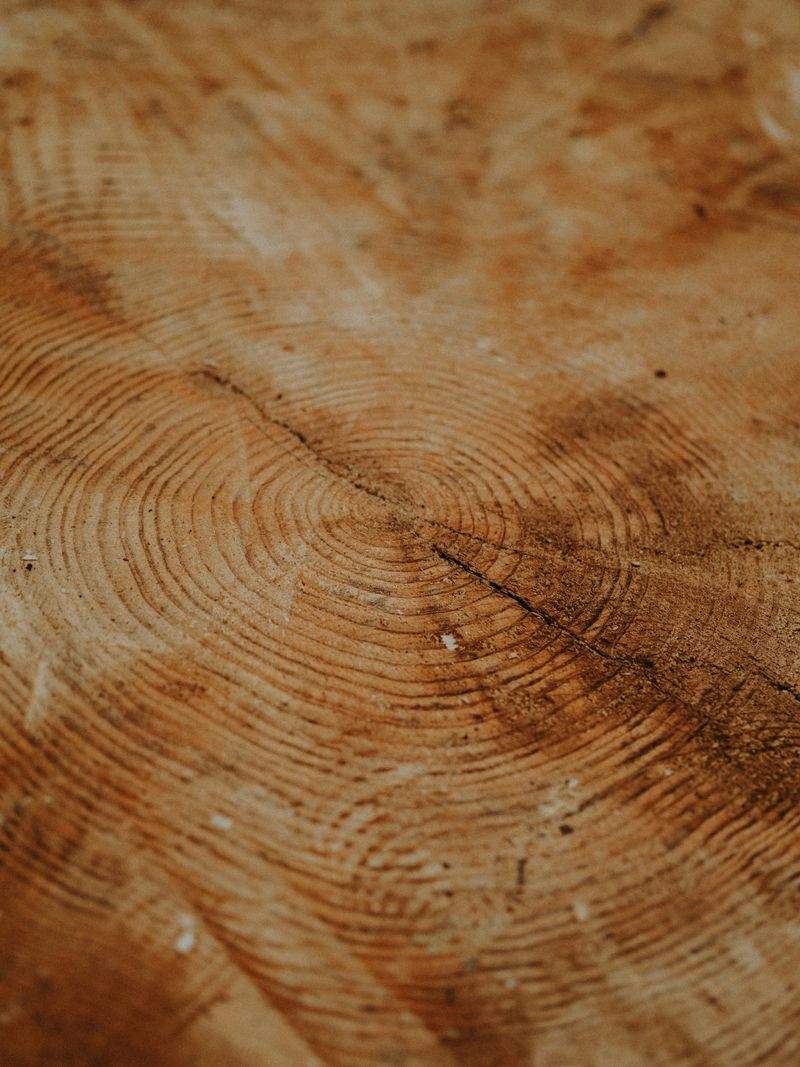 木工初心者工房 - Image 2