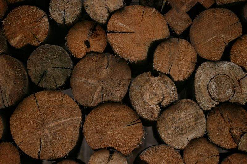 木工初心者工房 - Image 6